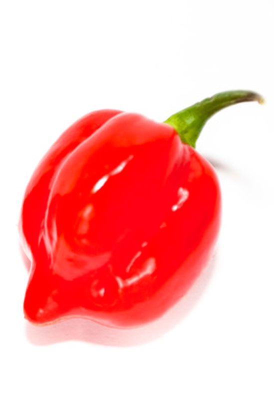 Habanero red Savina hot pepper seeds for sale